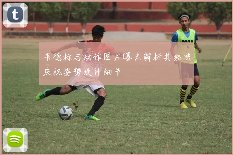 韦德标志动作图片曝光解析其经典庆祝姿势设计细节