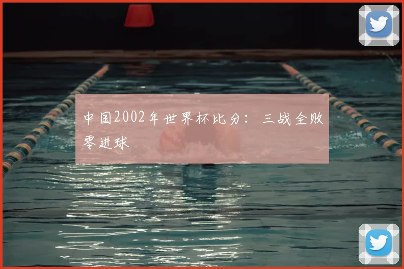 中国2002年世界杯比分：三战全败零进球