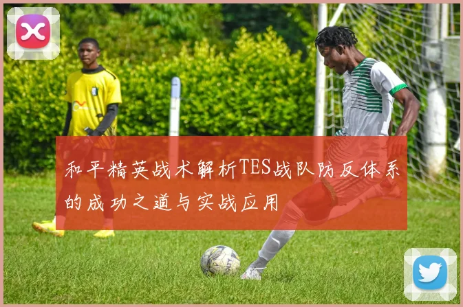 和平精英战术解析TES战队防反体系的成功之道与实战应用