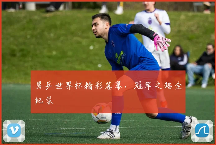 男乒世界杯精彩落幕，冠军之路全纪录