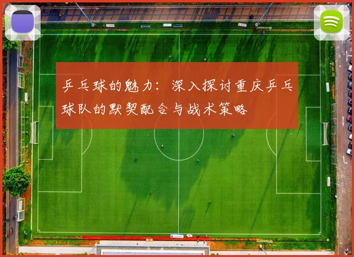 乒乓球的魅力：深入探讨重庆乒乓球队的默契配合与战术策略