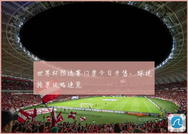 世界杯预选赛门票今日开售，球迷抢票攻略速览