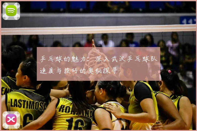 乒乓球的魅力：深入武汉乒乓球队速度与技巧的奥秘探寻