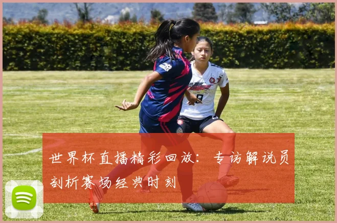 世界杯直播精彩回放：专访解说员剖析赛场经典时刻