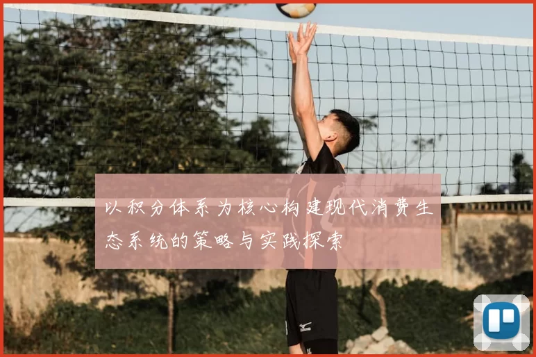 以积分体系为核心构建现代消费生态系统的策略与实践探索