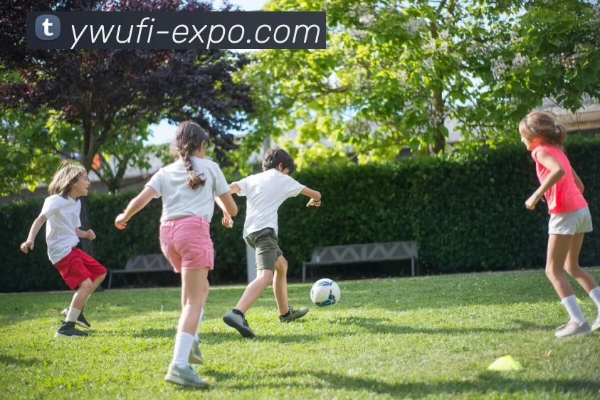 多媒体互动体验